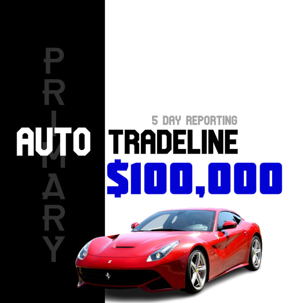 Auto Tradeline 100,000 Credit Line (Primary) Tradeline Loans