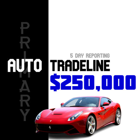 Auto Tradeline - $250,000 Credit Line (Primary)
